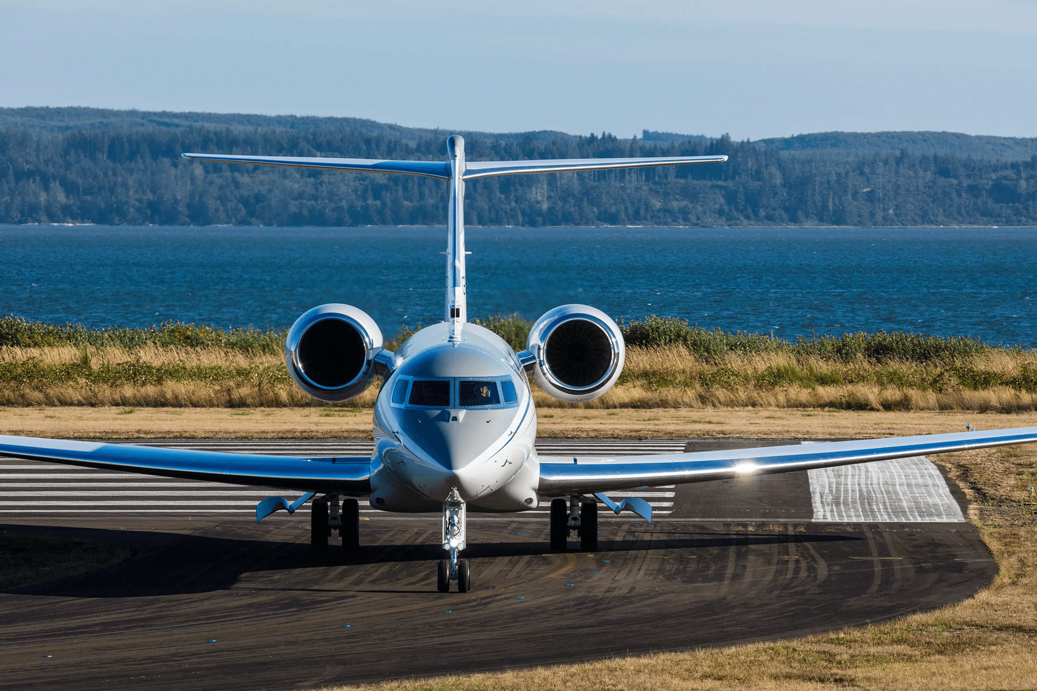 Gulfstream G650 Jet Share - Image 2